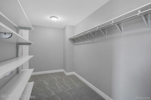 24825 Reeds Pointe Dr, Novi, MI 48374 - spacious closet featuring dark colored carpet