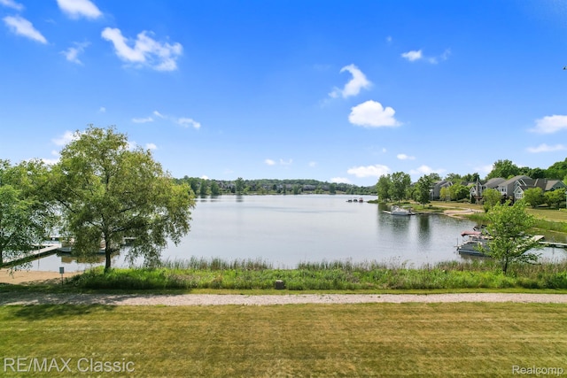 24825 Reeds Pointe Dr, Novi, MI 48374 - water view