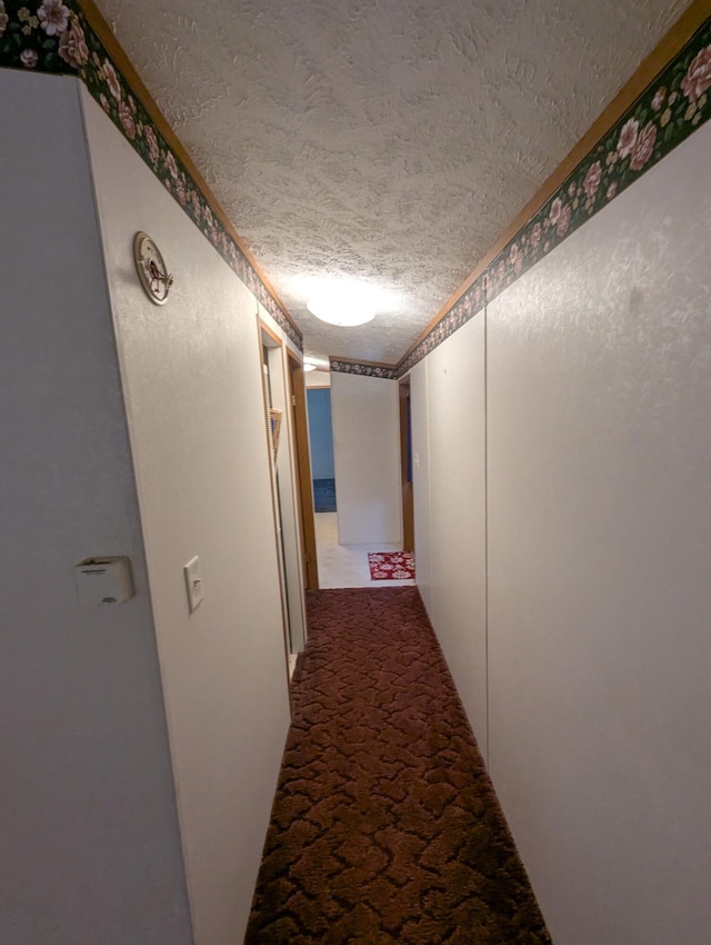 1133 Yeomans St Unit 98, Ionia, MI 48846 - hallway with a textured ceiling