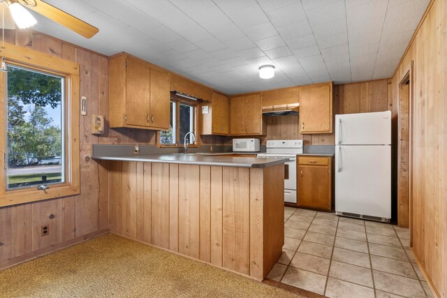 1765 S Shore E, Frankfort, MI 49635