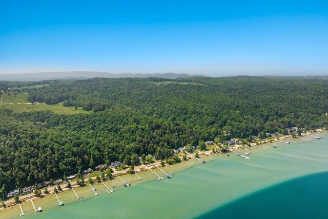 1765 S Shore E, Frankfort, MI 49635