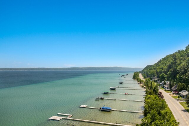 1765 S Shore E, Frankfort, MI 49635