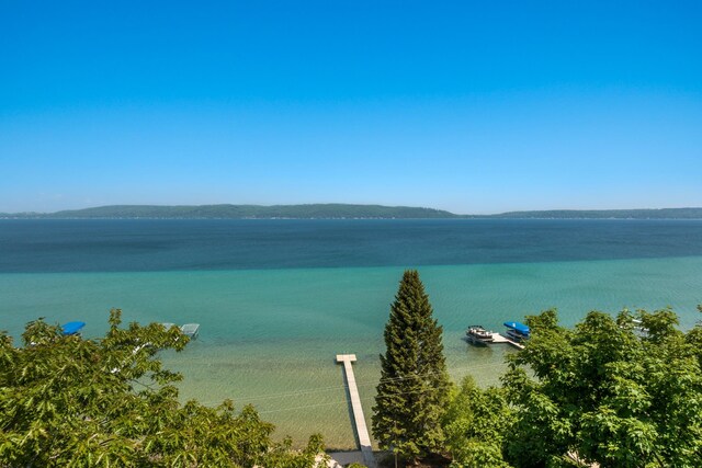 1765 S Shore E, Frankfort, MI 49635