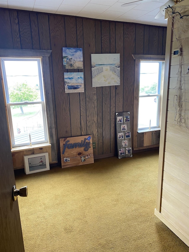 4441 Deckerville Rd, Lupton, MI 48635 - unfurnished room with carpet floors and wood walls