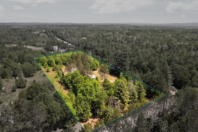 6038 SW Maple Hill Rd, Fife Lake, MI 49633 - aerial overview of property's location featuring a heavily wooded area and property parcel outlined