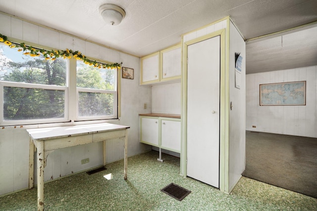6038 SW Maple Hill Rd, Fife Lake, MI 49633 - unfurnished office with wooden walls and carpet flooring