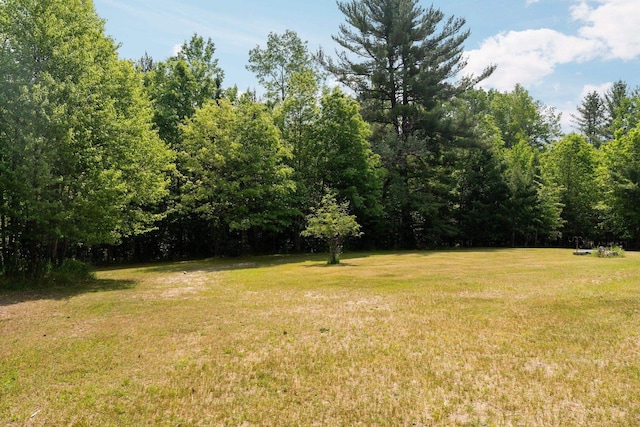 6038 SW Maple Hill Rd, Fife Lake, MI 49633 - view of green lawn with a view of trees