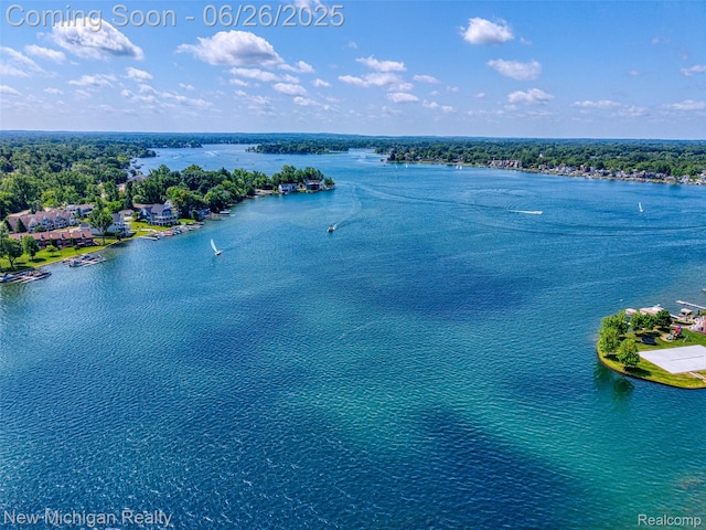 2226 Bowles St, Fenton, MI 48430 - aerial view of a large body of water
