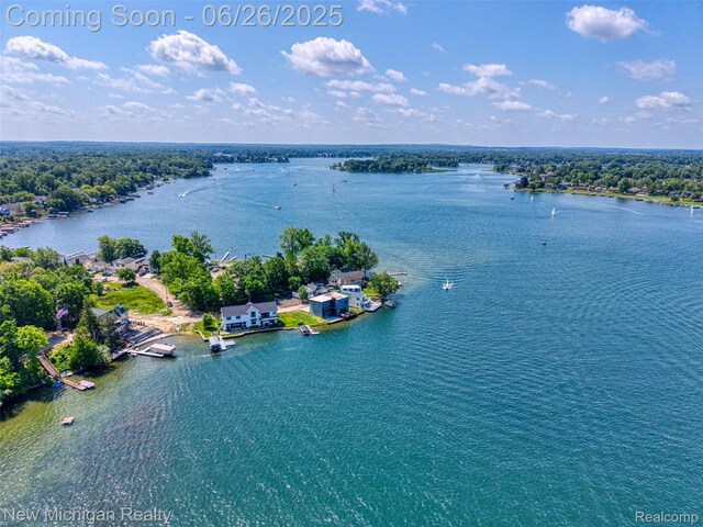 2226 Bowles St, Fenton, MI 48430 - aerial view of a large body of water