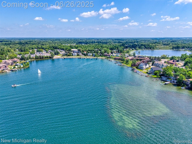 2226 Bowles St, Fenton, MI 48430 - bird's eye view of a nearby body of water