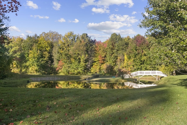 1532 34th St, Allegan, MI 49010 - view of grassy yard with a wooded view and a water view