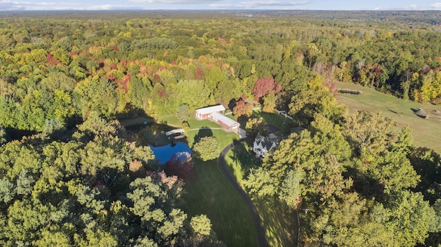 1532 34th St, Allegan, MI 49010 - aerial view of property and surrounding area with a forest and a large body of water