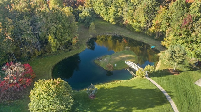 1532 34th St, Allegan, MI 49010 - aerial view of property and surrounding area featuring a nearby body of water and a heavily wooded area