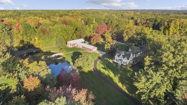1532 34th St, Allegan, MI 49010 - aerial overview of property's location featuring a heavily wooded area and a nearby body of water