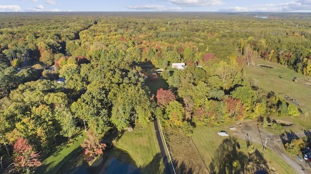 1532 34th St, Allegan, MI 49010 - aerial view of property's location with a heavily wooded area