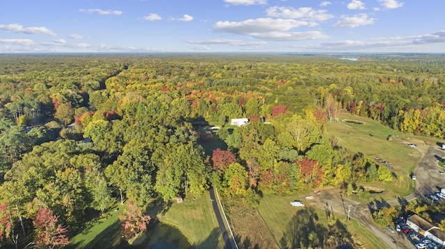 1532 34th St, Allegan, MI 49010 - aerial view of property's location with a forest