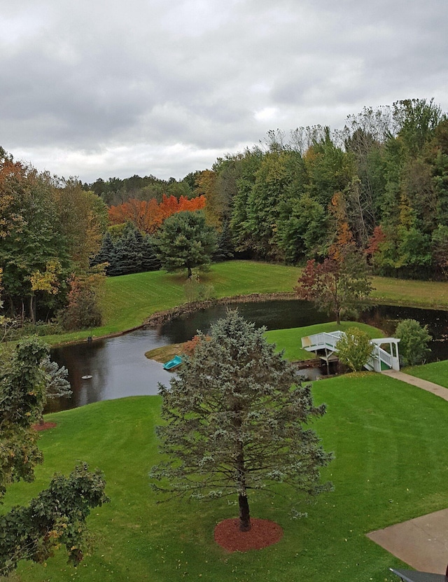 1532 34th St, Allegan, MI 49010 - view of home's community with a water view, a lawn, and a forest view