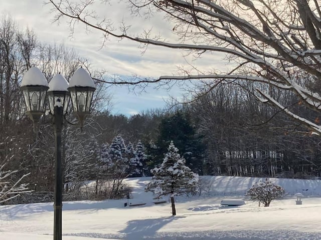 1532 34th St, Allegan, MI 49010 - view of yard covered in snow