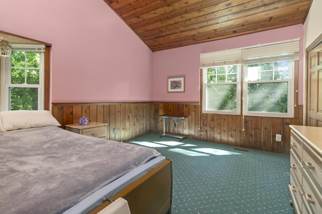 1532 34th St, Allegan, MI 49010 - photo 41