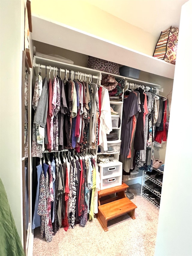343 Bush Ave, Grand Blanc, MI 48439 - view of closet