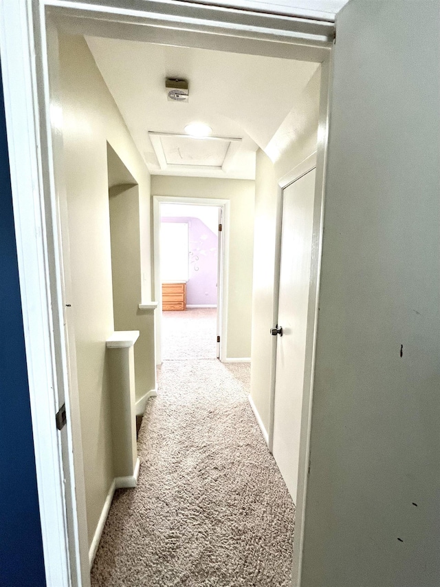 343 Bush Ave, Grand Blanc, MI 48439 - hallway with carpet and attic access