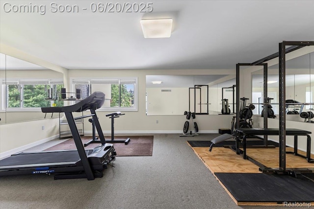 3440 Lone Pine Rd, West Bloomfield, MI 48323 - workout room with plenty of natural light and carpet floors