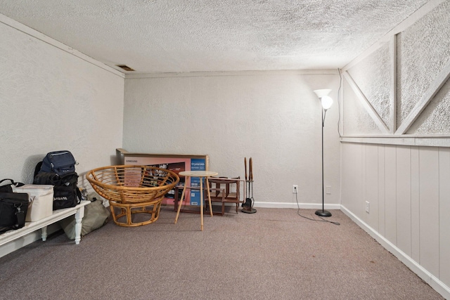 70838 Ridgewood Dr, Edwardsburg, MI 49112 - interior space featuring carpet floors, a textured ceiling, and a textured wall
