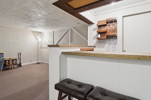 70838 Ridgewood Dr, Edwardsburg, MI 49112 - indoor dry bar featuring a textured ceiling, carpet floors, a decorative wall, and a textured wall