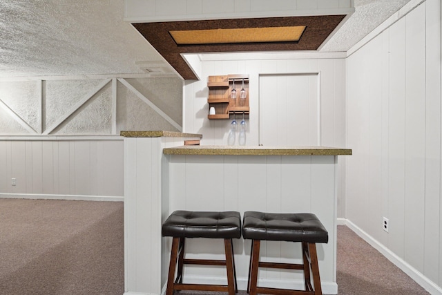 70838 Ridgewood Dr, Edwardsburg, MI 49112 - indoor dry bar featuring carpet floors, a textured ceiling, and a decorative wall