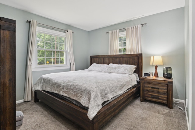 70838 Ridgewood Dr, Edwardsburg, MI 49112 - bedroom with carpet floors and multiple windows