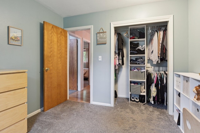 70838 Ridgewood Dr, Edwardsburg, MI 49112 - bedroom with carpet and a closet