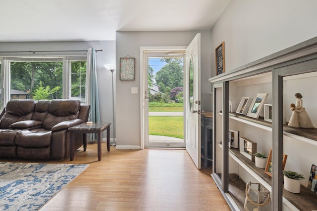 70838 Ridgewood Dr, Edwardsburg, MI 49112 - entryway with light wood finished floors and baseboards