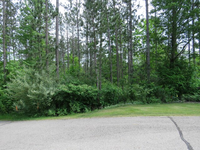 3225 N 39th Rd, Manton, MI 49663