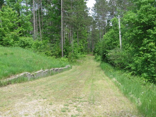 3225 N 39th Rd, Manton, MI 49663