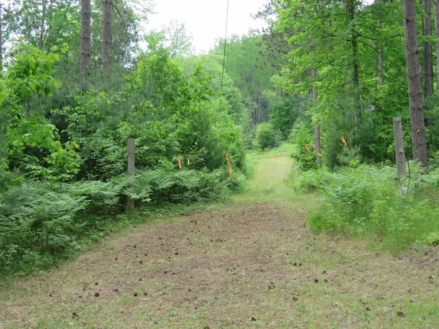 3225 N 39th Rd, Manton, MI 49663