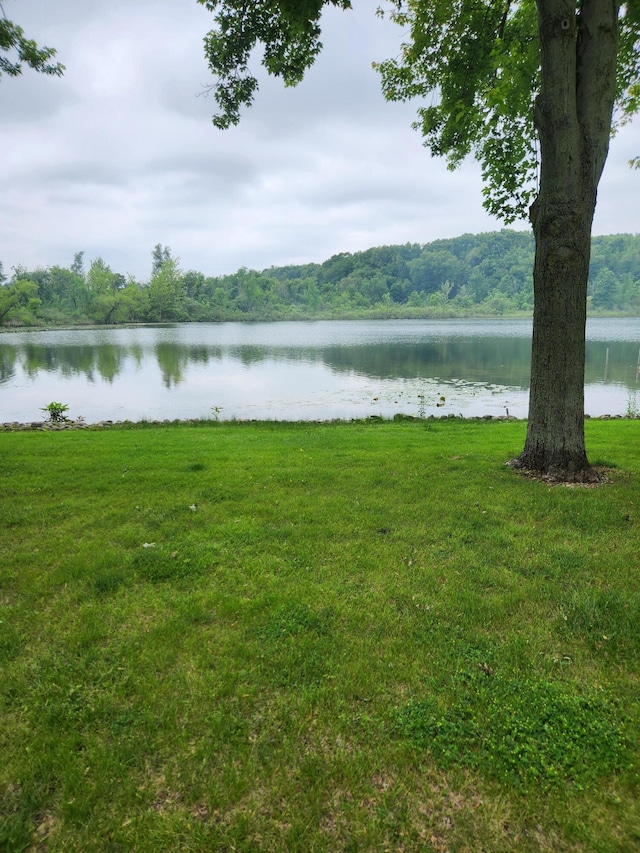 368 Old Hickory Dr, Coldwater, MI 49036 - water view featuring a heavily wooded area