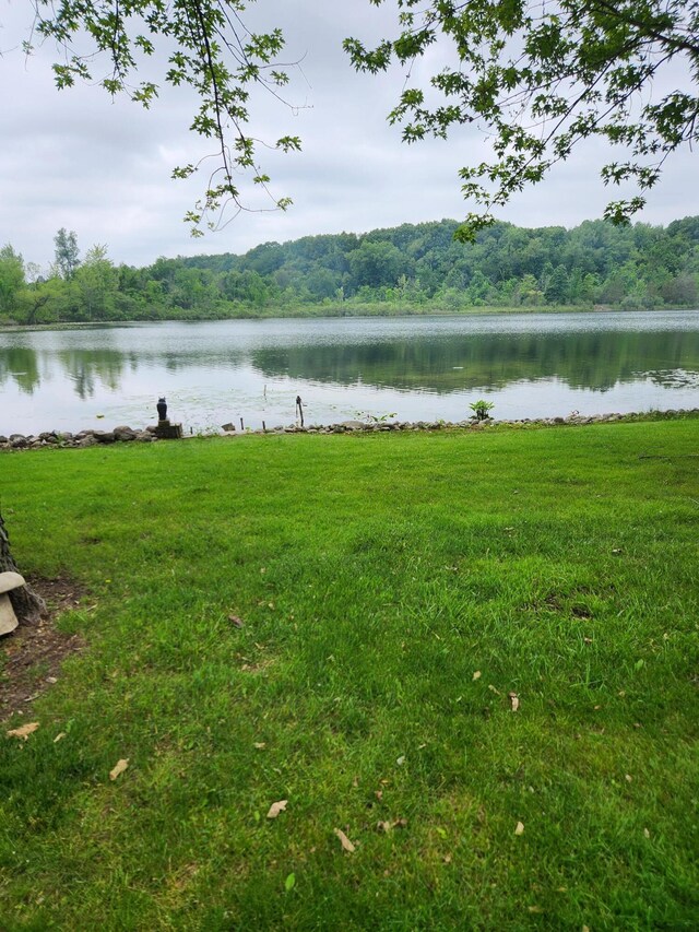 368 Old Hickory Dr, Coldwater, MI 49036 - water view featuring a heavily wooded area