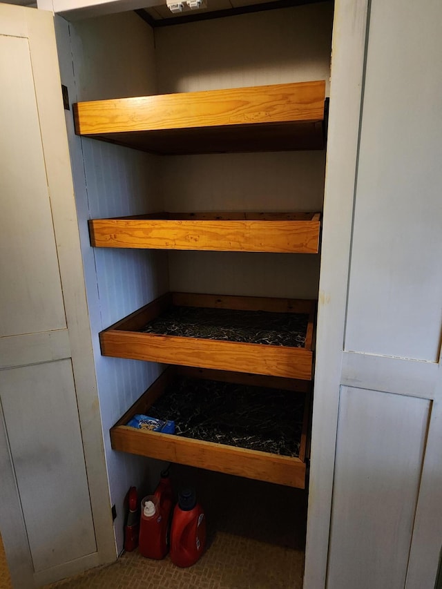 368 Old Hickory Dr, Coldwater, MI 49036 - view of closet