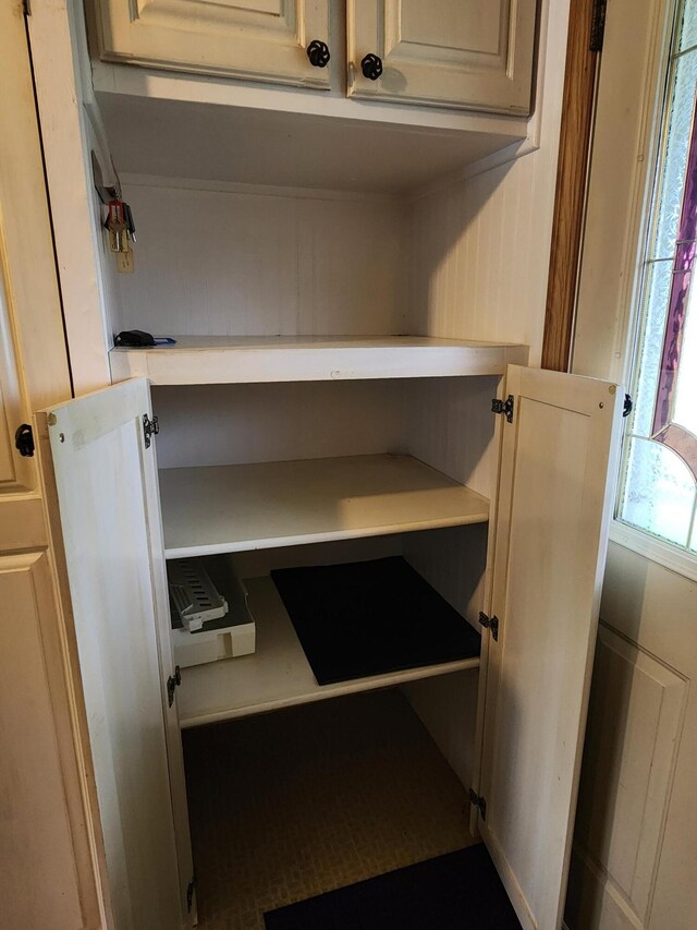 368 Old Hickory Dr, Coldwater, MI 49036 - view of closet
