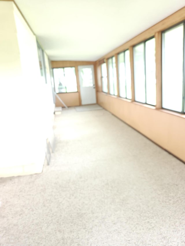 368 Old Hickory Dr, Coldwater, MI 49036 - unfurnished sunroom with carpet floors