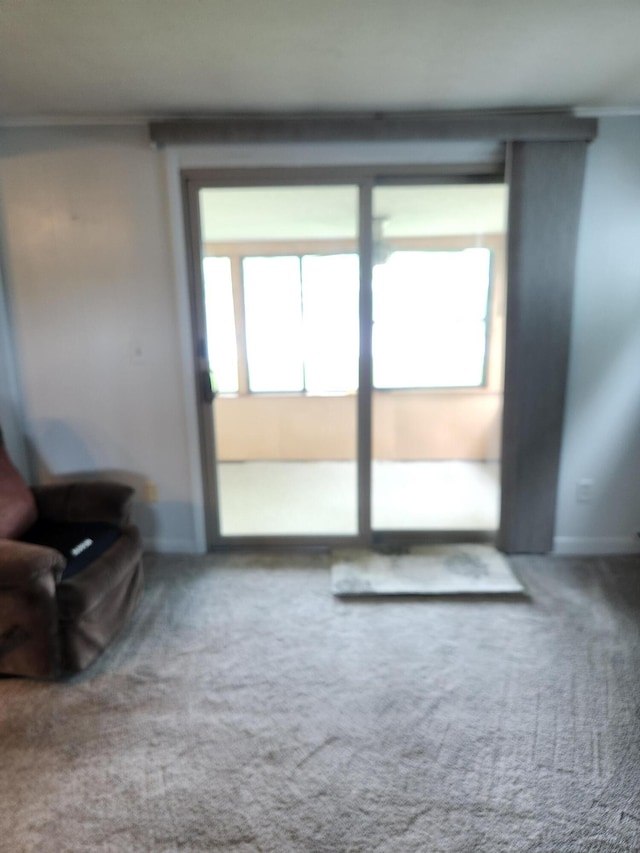 368 Old Hickory Dr, Coldwater, MI 49036 - living room featuring carpet floors