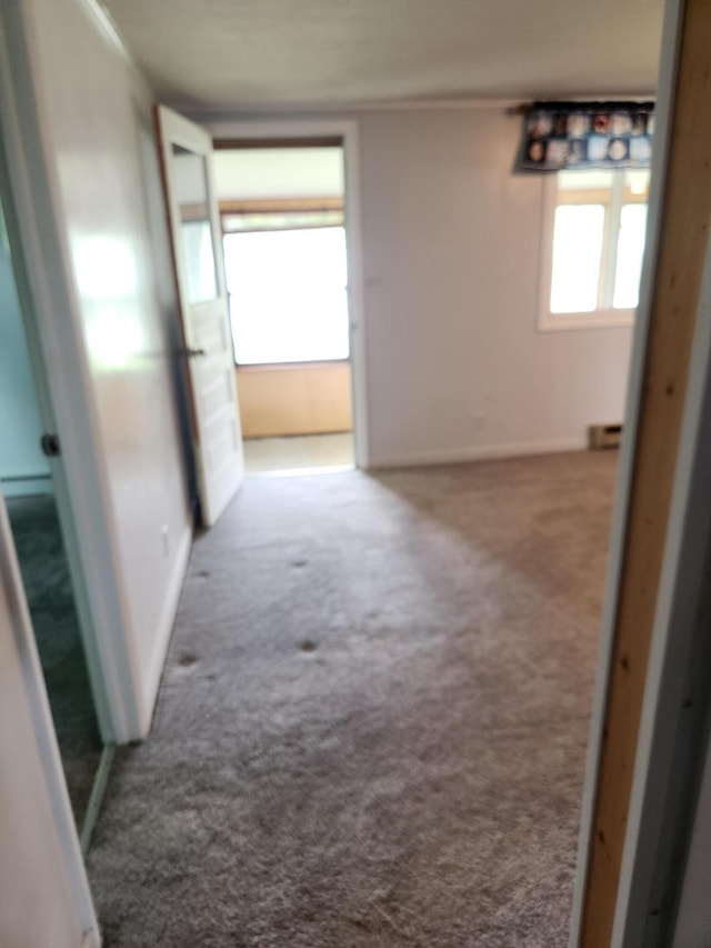 368 Old Hickory Dr, Coldwater, MI 49036 - hall featuring carpet and crown molding