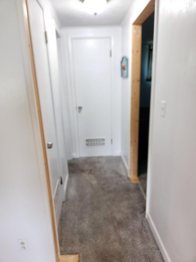 368 Old Hickory Dr, Coldwater, MI 49036 - hallway with carpet