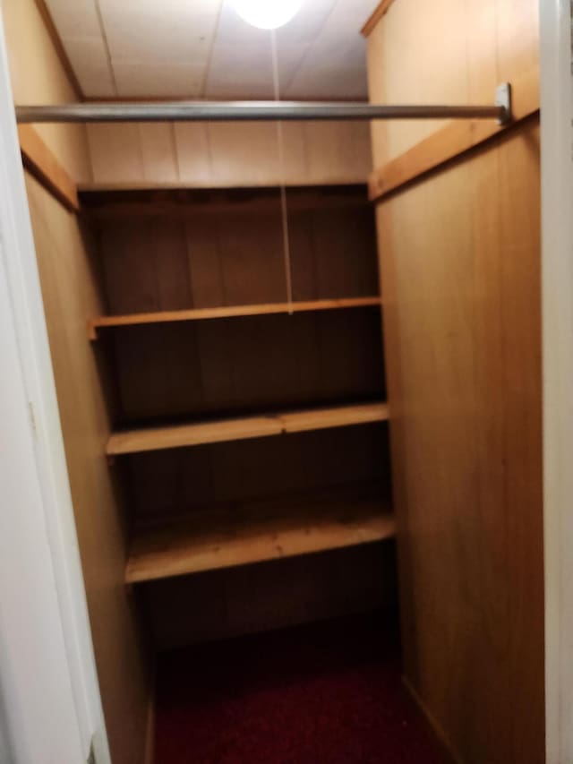 368 Old Hickory Dr, Coldwater, MI 49036 - view of spacious closet