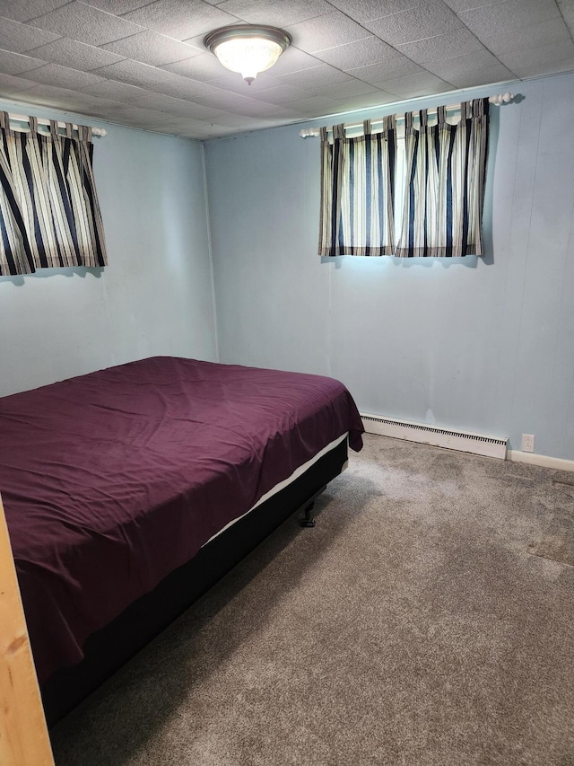 368 Old Hickory Dr, Coldwater, MI 49036 - bedroom with a baseboard radiator and carpet