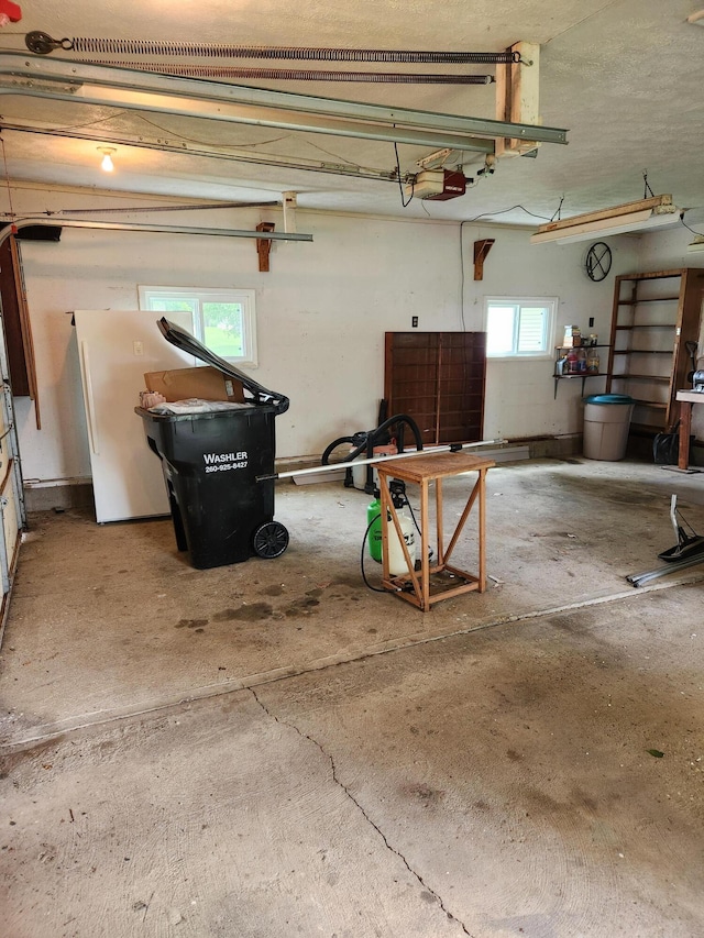 368 Old Hickory Dr, Coldwater, MI 49036 - garage featuring a garage door opener
