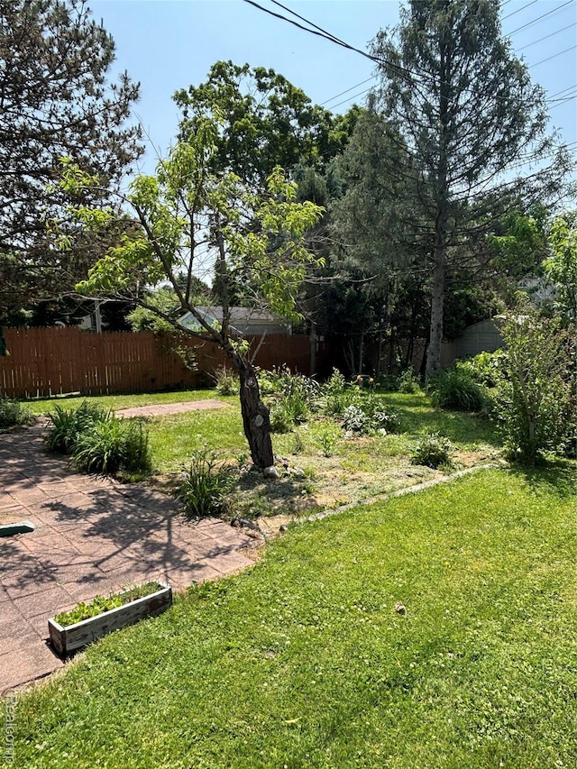 59 W High St, Metamora, MI 48455 - view of yard