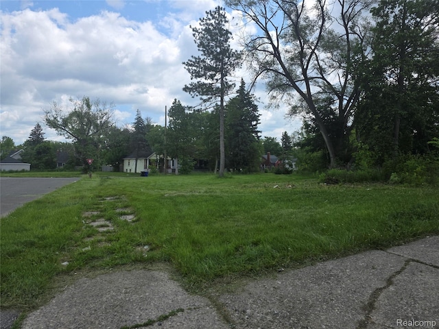 12142 Minden St, Detroit, MI 48205 - photo 9