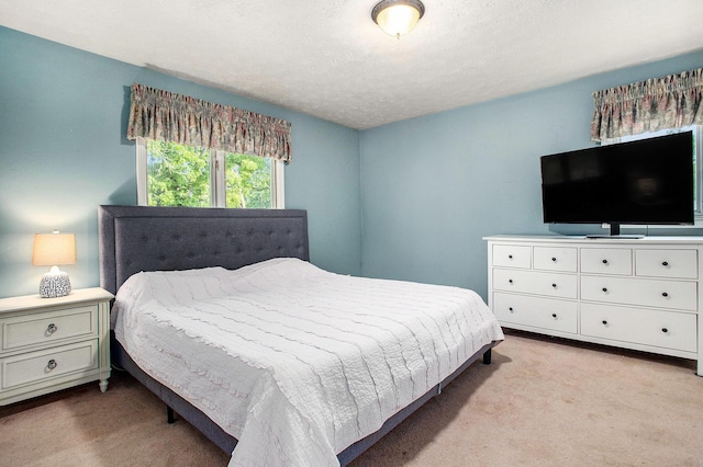 6958 Paddock Ln, Jackson, MI 49201 - view of carpeted bedroom