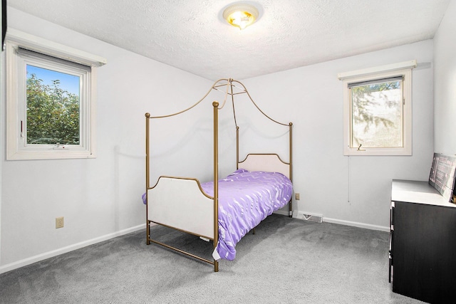 6958 Paddock Ln, Jackson, MI 49201 - carpeted bedroom with a textured ceiling and multiple windows